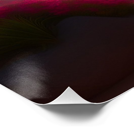 Glänzende Poster ポスター (コーナー)