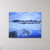GLass湖、鏡反射、鳥、雲 キャンバスプリント (正面)