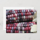 Glass Gemカラフル Corne. ポストカード (正面/裏面)