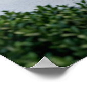 Glass Lion Sculpture Dawn ポスター (角)