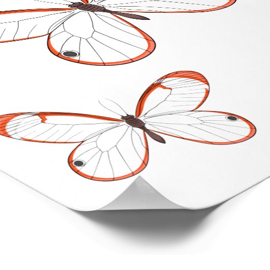 Glasswing butterfly cartoon illustration ポスター (角)