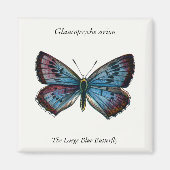 Glaucopsyche arion – 大きな青い蝶 マグネット (正面)