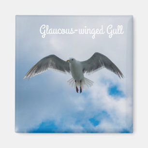 Glaucous飛んだカモメ マグネット