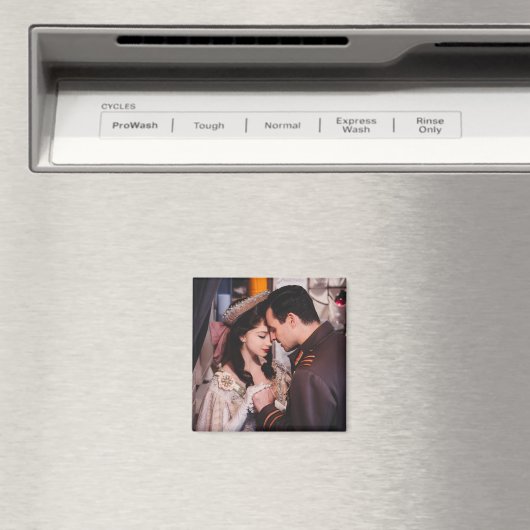 Glebga マグネット (インサイチュ (食洗機))