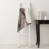 Glen Canyon National Recreation Area, Utah シェルパブランケット (インサイチュ)