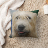 glen-of-imaal-terrier-7.jpg クッション (ブランケット)
