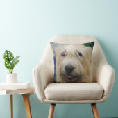 glen-of-imaal-terrier-7.jpg クッション (椅子)