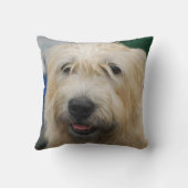 glen-of-imaal-terrier-7.jpg クッション (裏面)