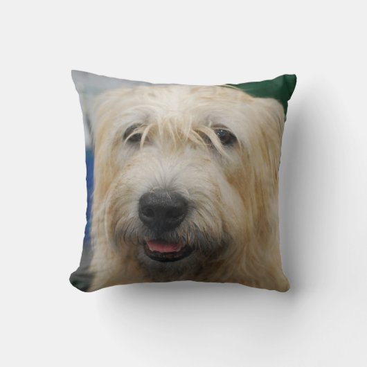 glen-of-imaal-terrier-7.jpg クッション (正面)