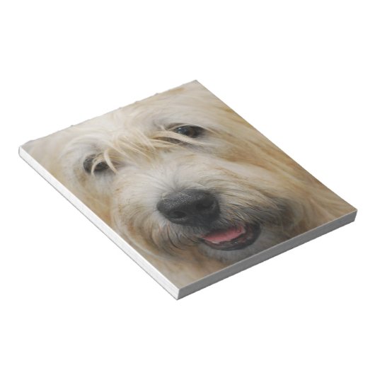 Glen of Imaal Terrier Notepad ノートパッド (アングル)