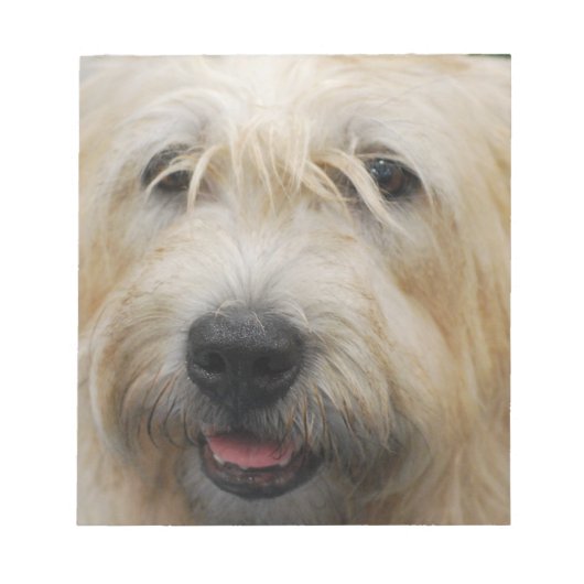 Glen of Imaal Terrier Notepad ノートパッド (正面)