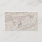 Glencoeの雄鹿のシカ 名刺 (裏面)