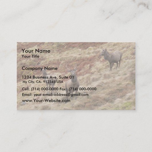Glencoeの雄鹿のシカ 名刺 (正面)