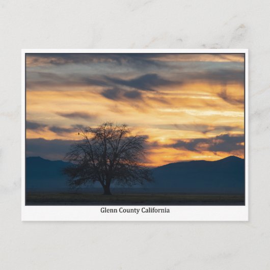 Glenn County California Sunset Postcard ポストカード (正面)
