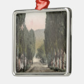 Glenwood Springs、コロラド州 メタルオーナメント (左)