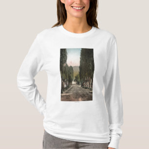 Glenwood Springs、コロラド州 Tシャツ