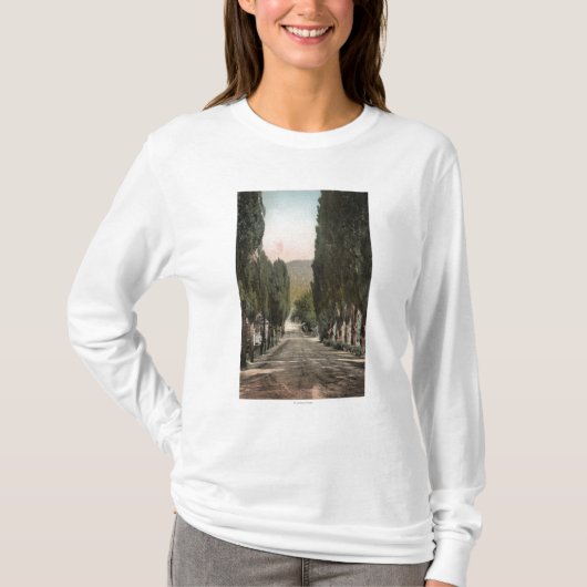 Glenwood Springs、コロラド州 Tシャツ (正面)