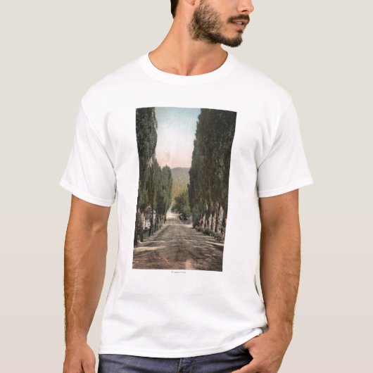 Glenwood Springs、コロラド州 Tシャツ (正面)