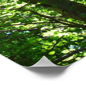 Glistening Sun Treeポスター ポスター (角)