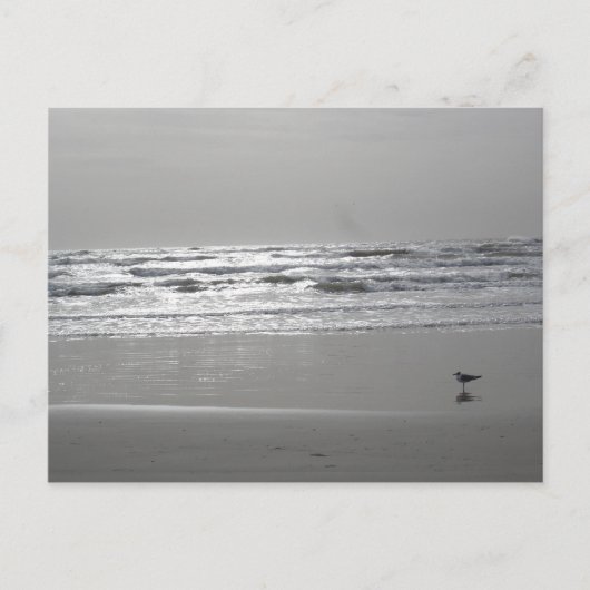 Glistening Wavesポストカード ポストカード (正面)