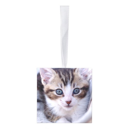 Glittery Silver Foil Fancy Monogram キューブオーナメント (右)