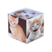 Glittery Silver Foil Fancy Monogram フォトキューブ (裏面アングル)