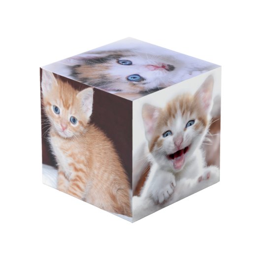 Glittery Silver Foil Fancy Monogram フォトキューブ (裏面アングル)