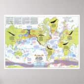 " Global: 1976 - Wale der Welt Wanderkarte ... ポスター (正面)