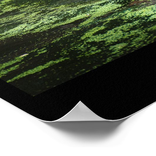 Global Tiger Day, TIGERフォトポスター ポスター (角)