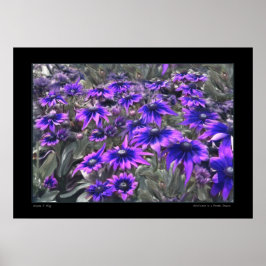 Gloriosaポスターのブラックライトモーメント ポスター