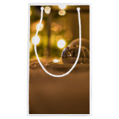 Glow of Christmas Lights抱き枕 スモールペーパーバッグ (正面)