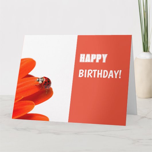 Glückwunschkarte Marienkäfer auf oranger Blüte カード (正面)