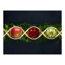 GMO食品および遺伝子組み換え作物