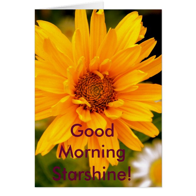 G'Morning Starshine (正面)