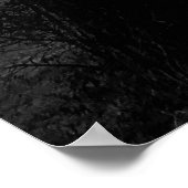 Gnarled Tree ポスター (角)