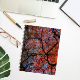 Gnarly Autumn 日本の Maple Tree Branches写真 ノートブック