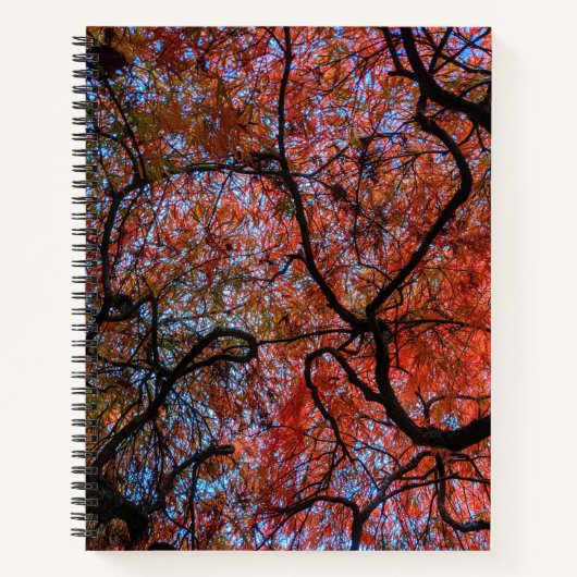Gnarly Autumn 日本の Maple Tree Branches写真 ノートブック (正面)