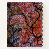 Gnarly Autumn 日本の Maple Tree Branches写真 ノートブック (裏面)