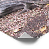 Gnarly Flow ポスター (角)