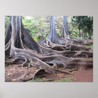 Gnarly Flow ポスター