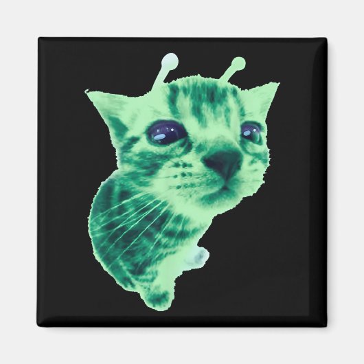 Gnarp 猫 ばか宇宙人 猫 ミーム 脳破壊 ミーム 笑える マグネット (正面)