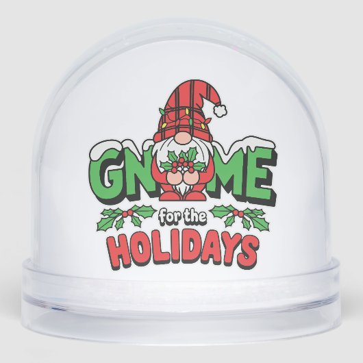 Gnome For The Holidays (正面)