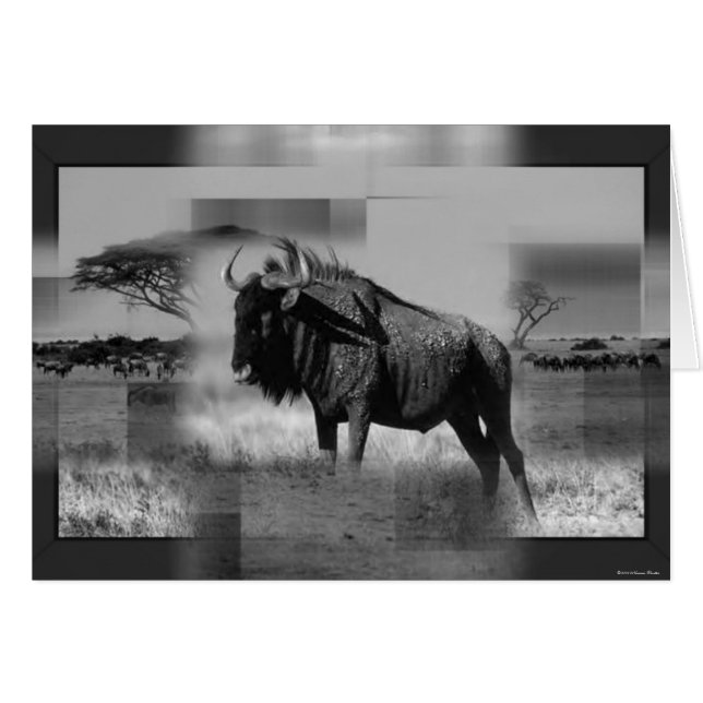 Gnuカード (正面横)