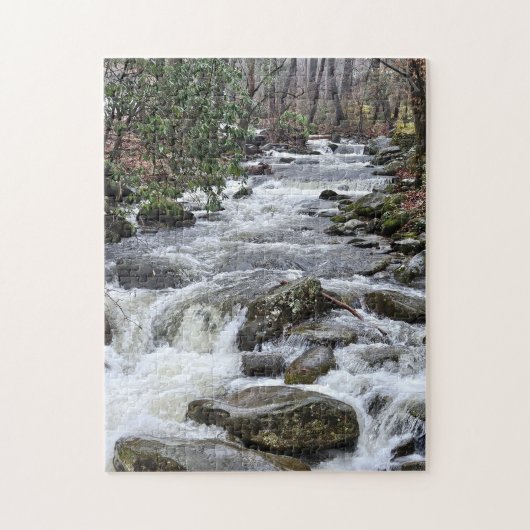 Go With The Flow Puzzle, 11" x 14", 252 pieces ジグソーパズル (縦)