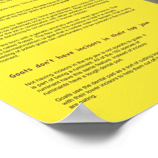 Goat Facts Poster 2 ポスター (角)