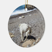 Goat on the Beach セラミックオーナメント (左)