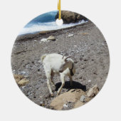 Goat on the Beach セラミックオーナメント (裏面)