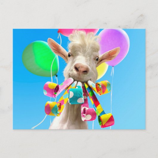 Goat with Party Blowers ポストカード (正面)