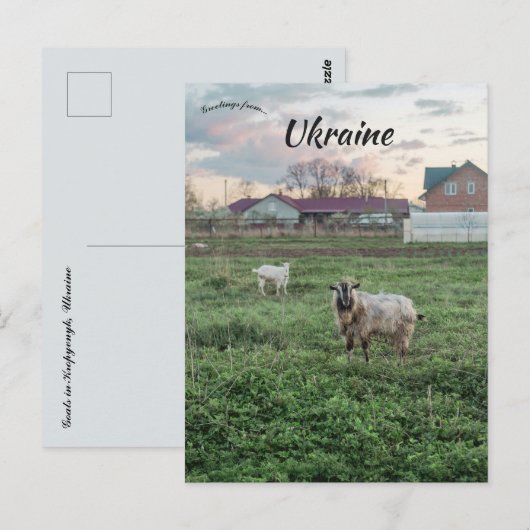 Goats in  Kropyvnyk Ukraine ポストカード (正面/裏面)