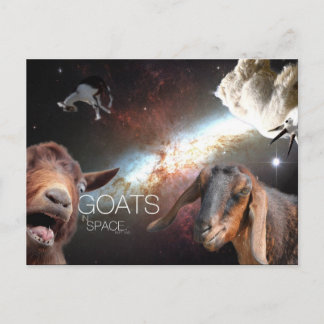 Goats.In.Space ポストカード